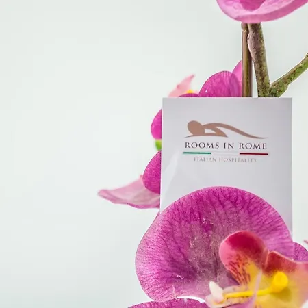 In 게스트하우스 3*